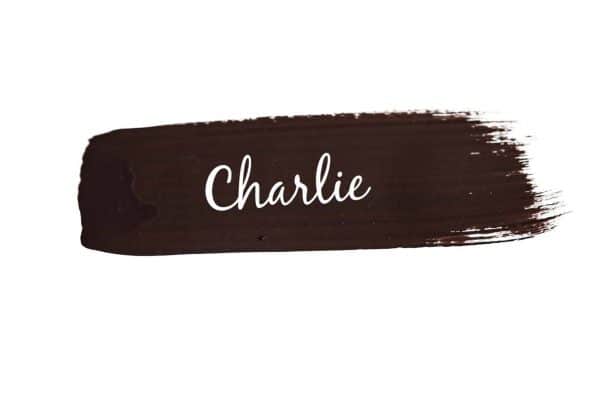 paint swoosh of Mango Paint colour Charlie