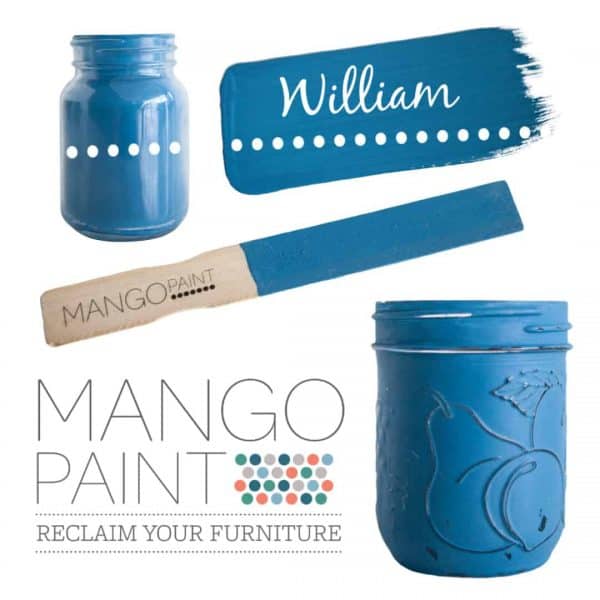 Collage of items painted in Mango Paint colour William